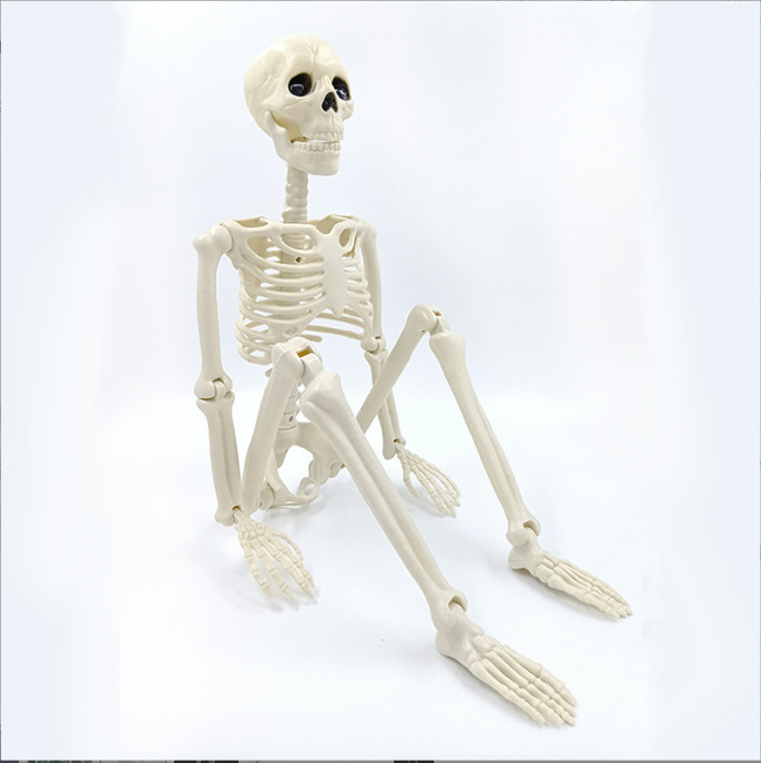 3ft Poseable Halloween Skeleton with Movable Joints – Full Body Life-Size Skeleton Decoration for Indoor Outdoor Haunted House Yard Party Props