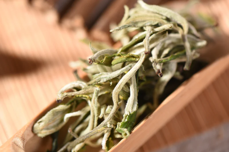Special Grade Yunnan Mao Feng First Harvest Green Tea