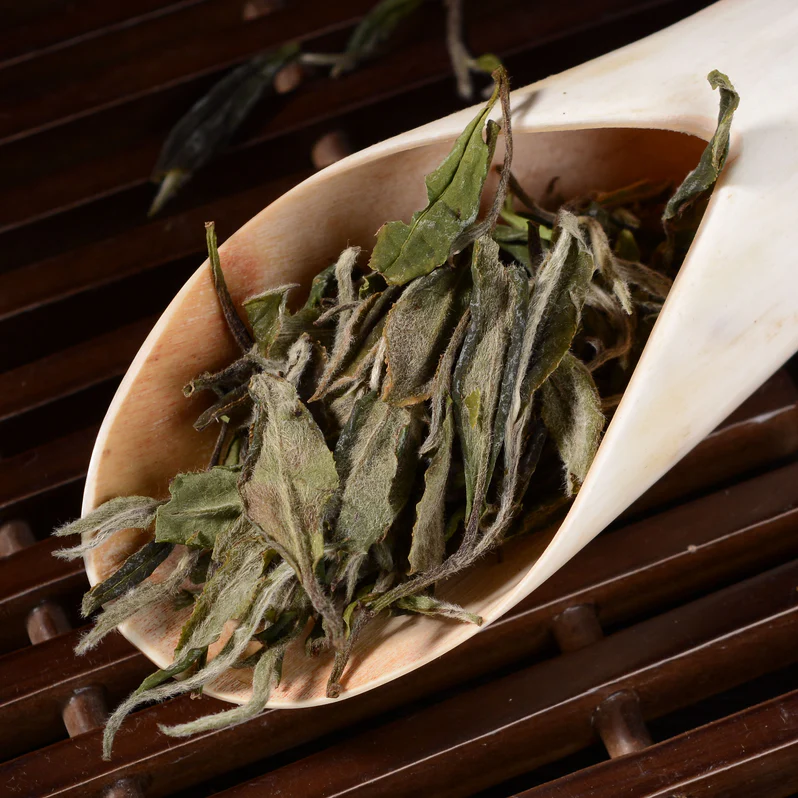 Fuding Bai Mudan White Tea – Premium White Peony Loose Leaf Tea